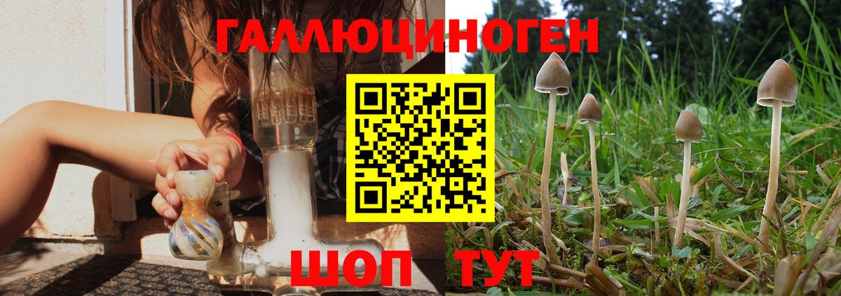 Псилоцибиновые грибы прущие грибы  Вход с VPN  Ставрополь  Галлюциногенные грибы мухоморы 