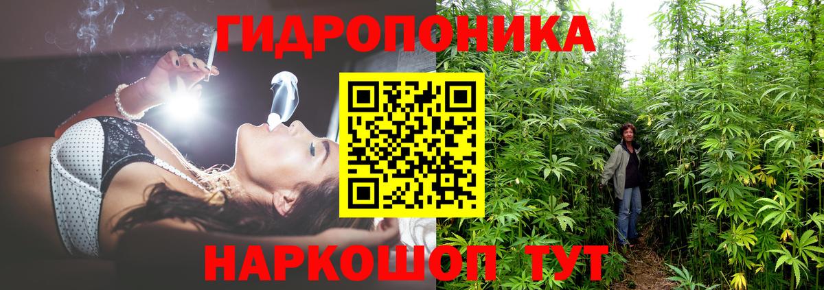 Канабис сатива  Марихуана SATIVA & INDICA  Бошки марихуана THC 21%  Ставрополь  Бошки марихуана тримм  Вход с VPN 